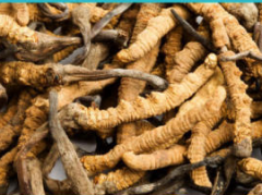 高价上门回收茅台五粮液老酒虫草礼品回收白酒、洋酒等